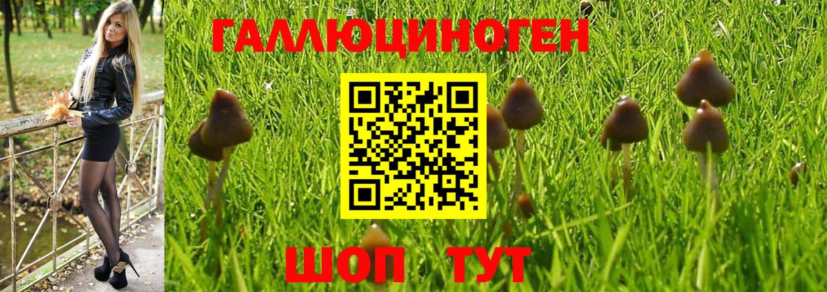 дарнет шоп  Вход с VPN  Балашов  Псилоцибиновые грибы Magic Shrooms 