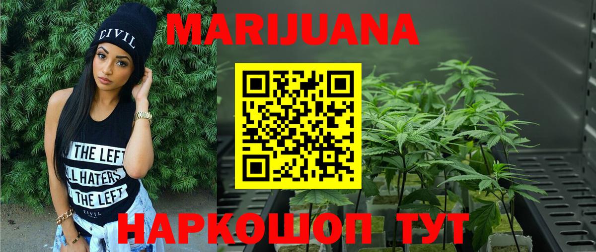 Канабис конопля Балашов